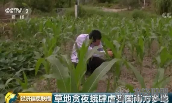 附件