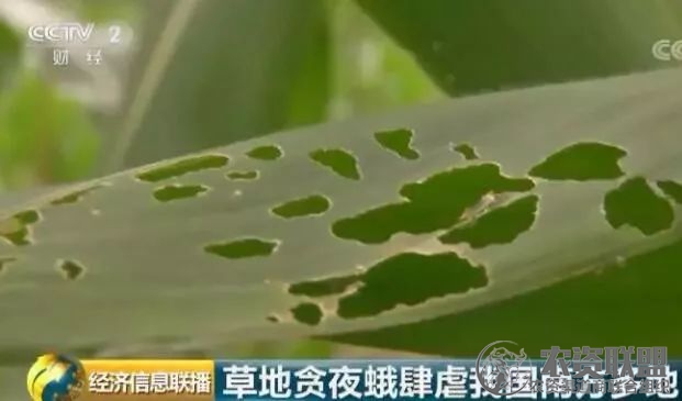 附件