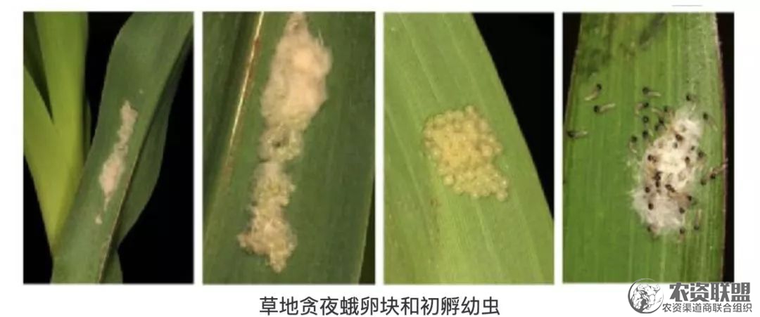 附件