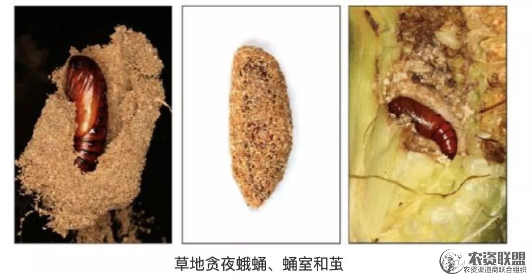 附件