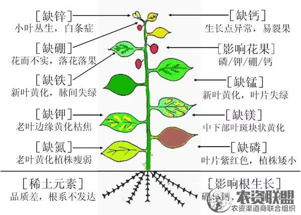 附件