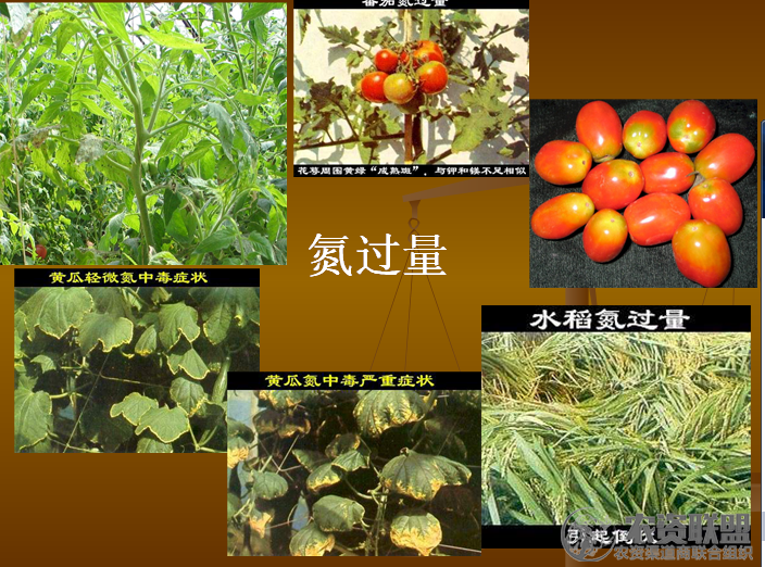 附件