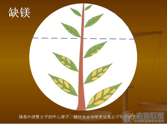 附件