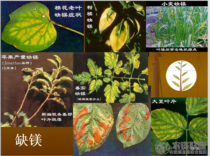 附件