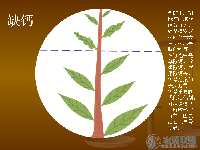 附件