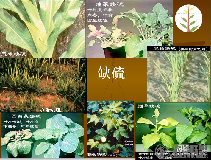 附件