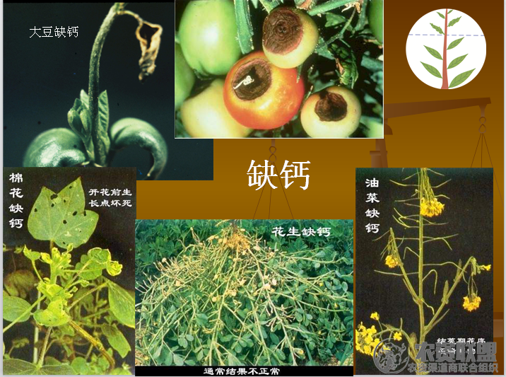 附件
