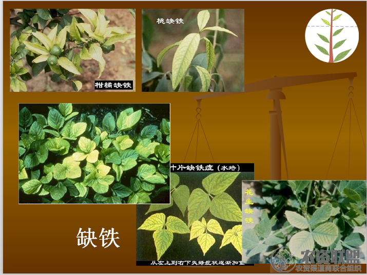 附件