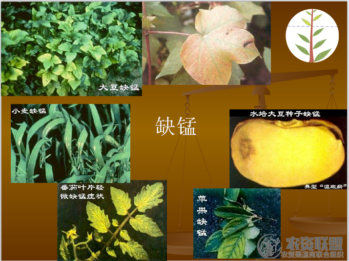 附件
