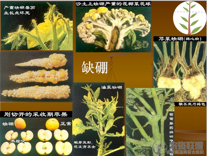 附件