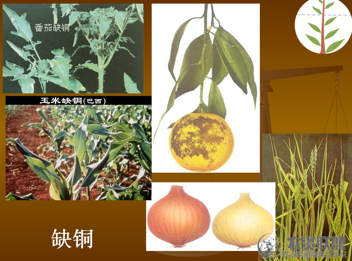 附件