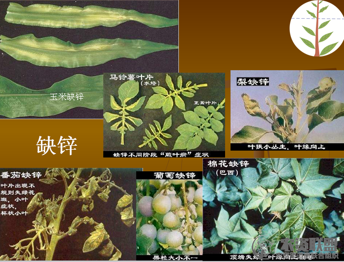 附件