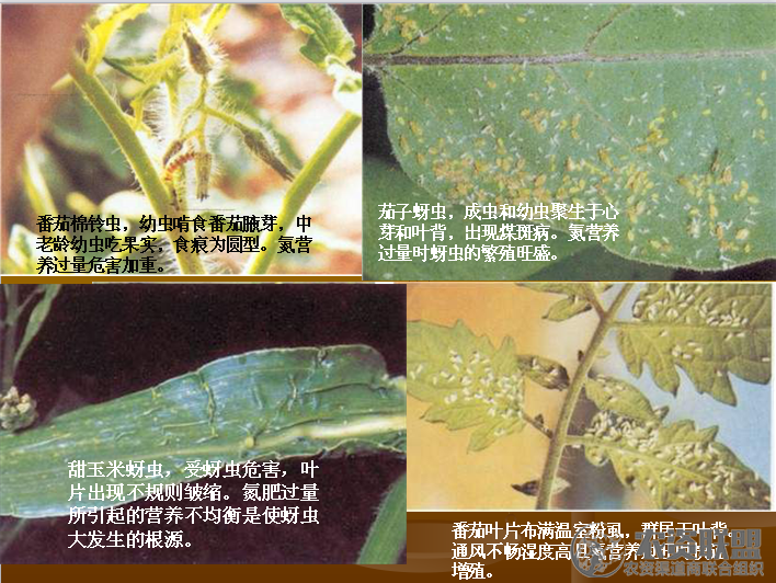 附件