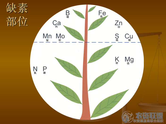 附件