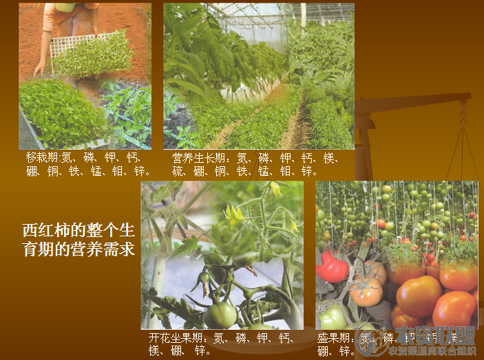 附件