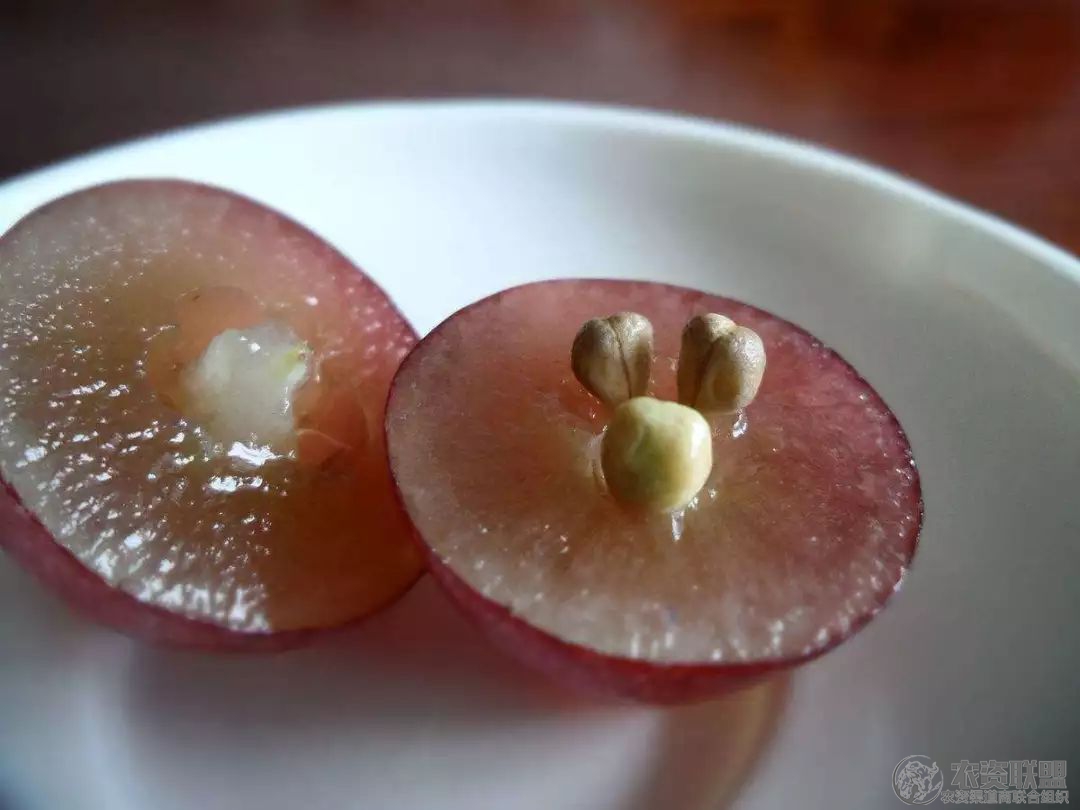附件