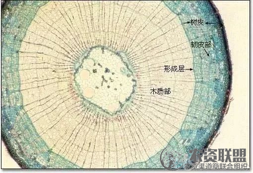 附件