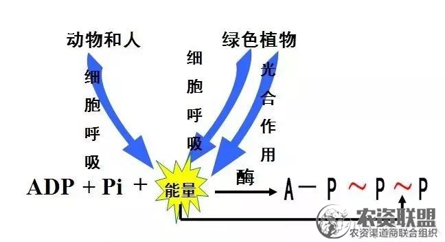 附件