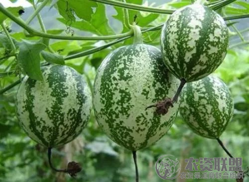 附件