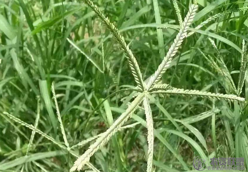 附件