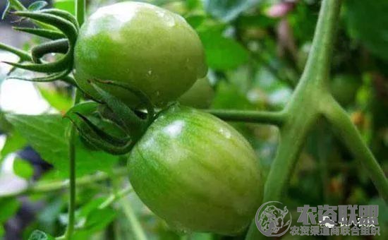 附件