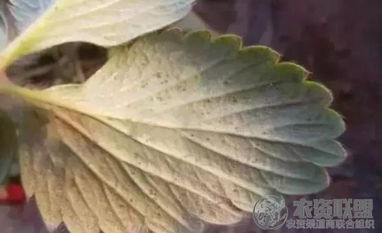 附件