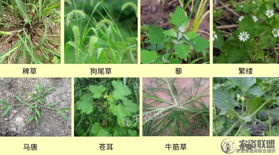 附件