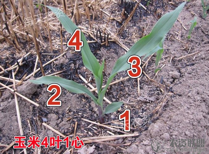 附件