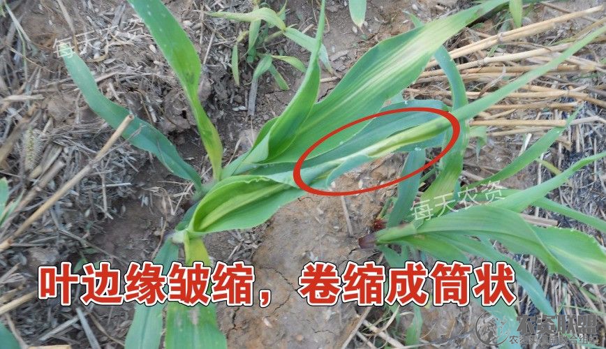 附件