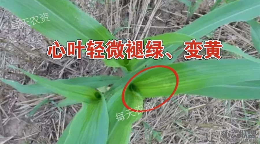 附件