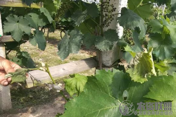 附件