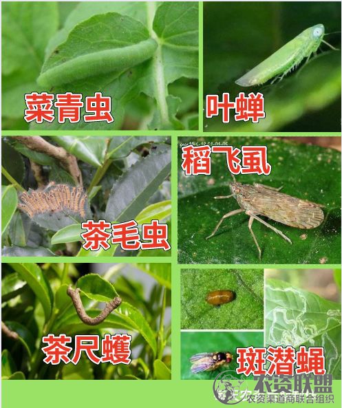 附件