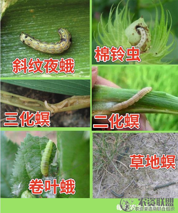 附件