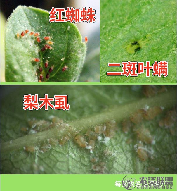 附件