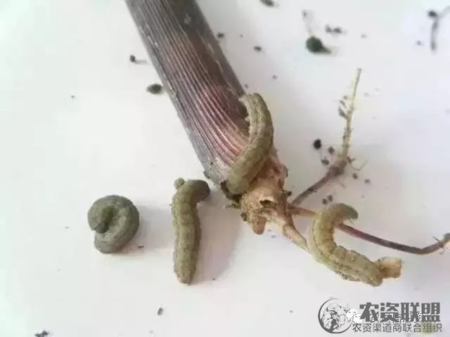 附件