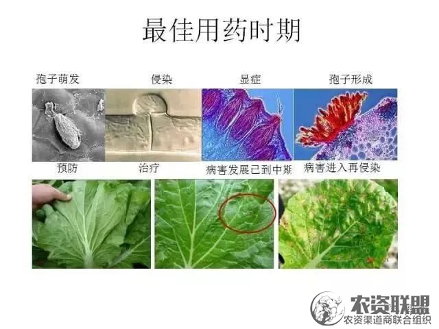 附件