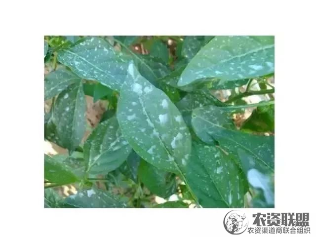 附件