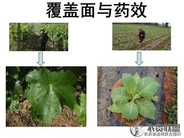 附件