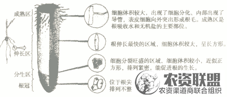 附件