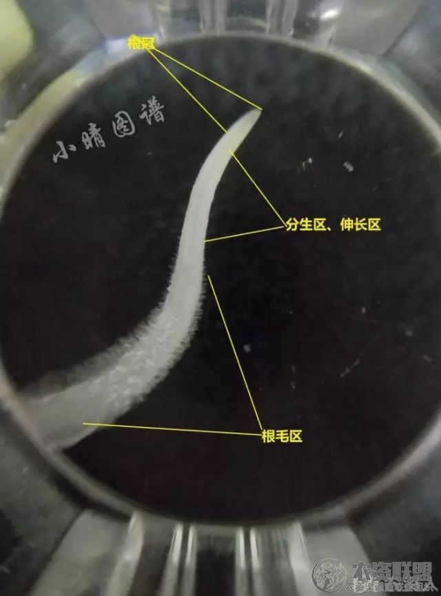 附件