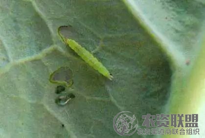 附件