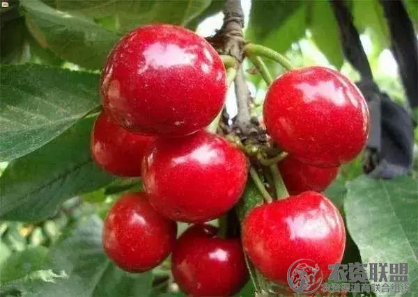 附件