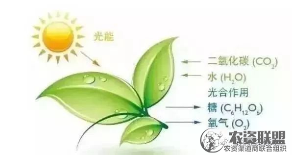 附件