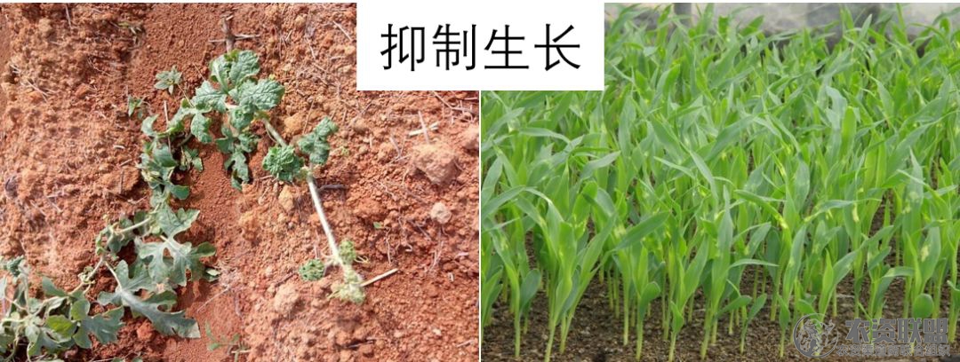附件