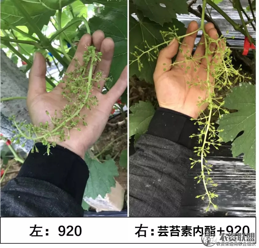 附件