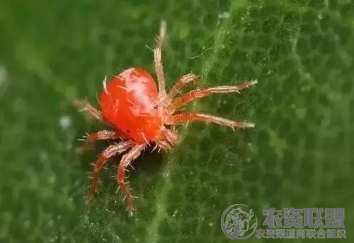 附件