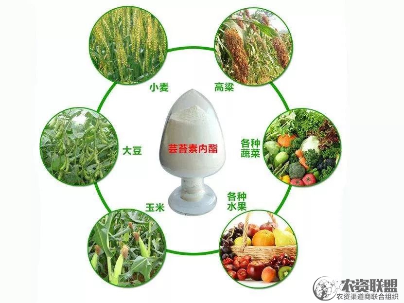 附件