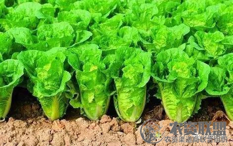 附件