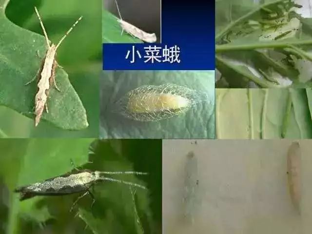附件