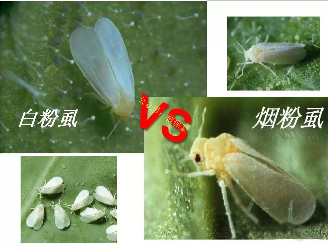 附件